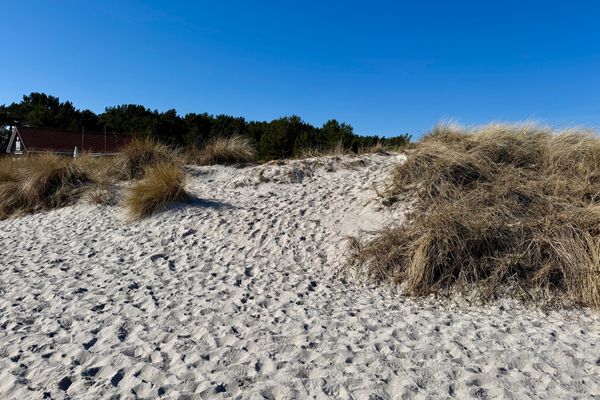  "Waldresidenz", App. 02 Ostseebad Prerow - 