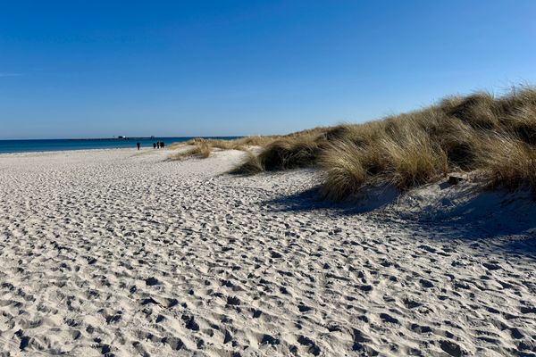  "Waldresidenz", App. 02 Ostseebad Prerow - 