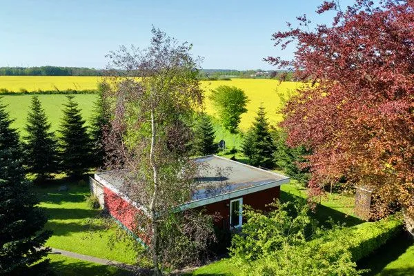 Vogelperspektive  Tannengrün