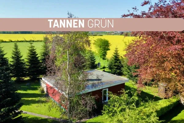   Tannengrün