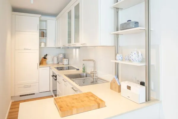 Küche / Küchenzeile  Heringsmöwe im Haus Dünenlust