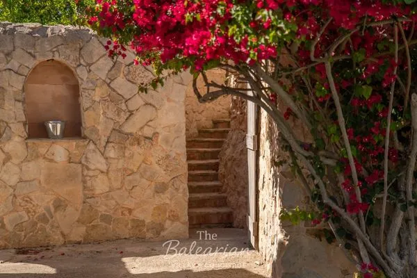   Finca Es Moli de Ariany