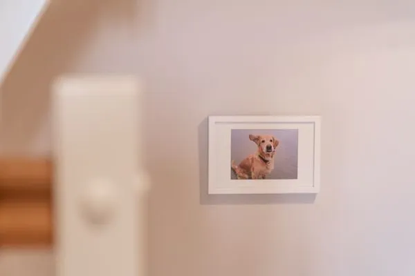 Reetdachhaus ASK / EMBLA Reetdachhaus EMBLA SPO Ording - 