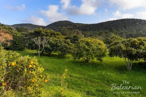   Finca Can Lluc Ibiza