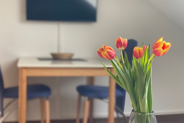  Haus Daubert Wohnung 4  - Wohnzimmer