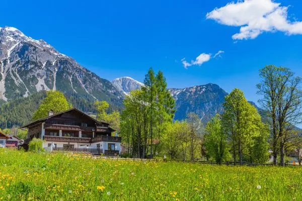 Hauptansicht Gebäude im Sommer  Bergidyll 9 by Alpenidyll Apartments