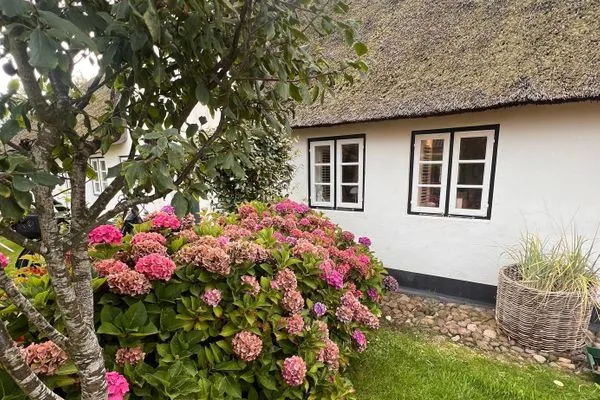   Inselidyll Alter Friesenhof