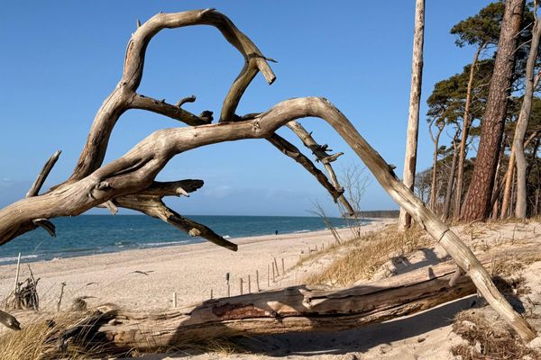 Achtern Diek Haus 9 Wohnung 2 Zingst - Strand