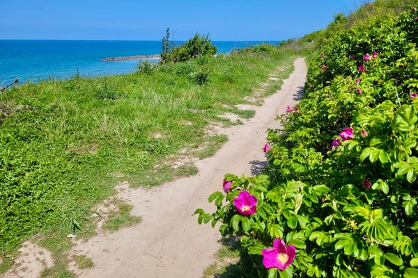 Achtern Diek Haus 9 Wohnung 2 Zingst - Strand