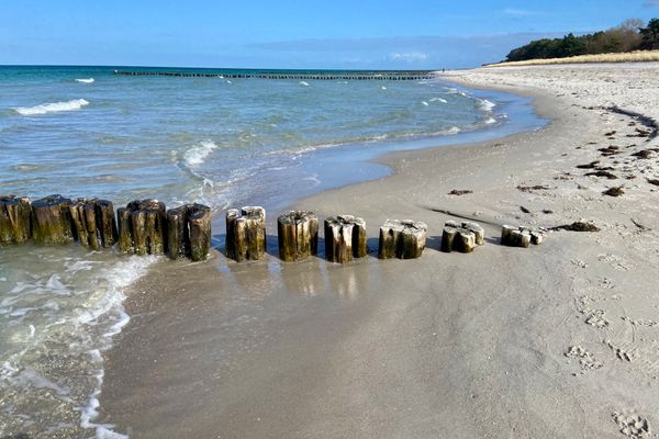 Achtern Diek Haus 9 Wohnung 2 Zingst - Strand