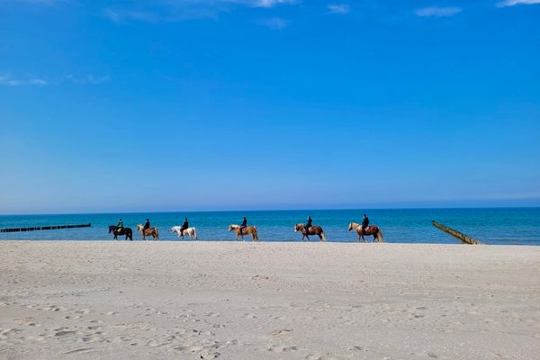 Achtern Diek Haus 9 Wohnung 2 Zingst - Strand