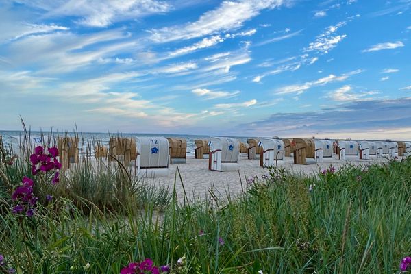  Küstenmeise Kellenhusen - Strand