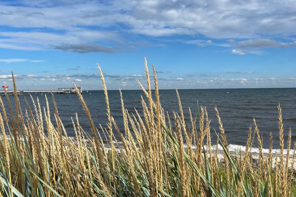  Küstenmeise Kellenhusen - Strand