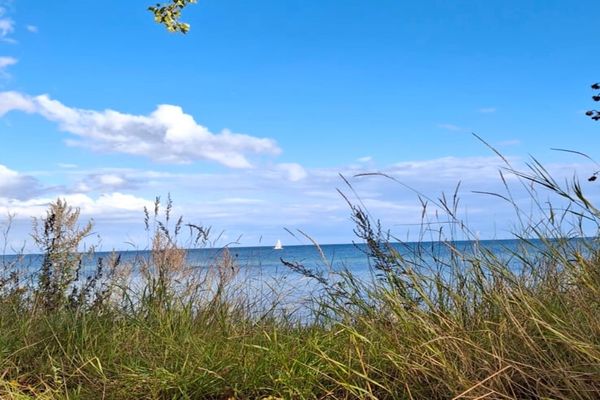  Küstenmeise Kellenhusen - Strand