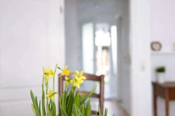 Dekoratives Detail  Ostseeperle Kellenhusen