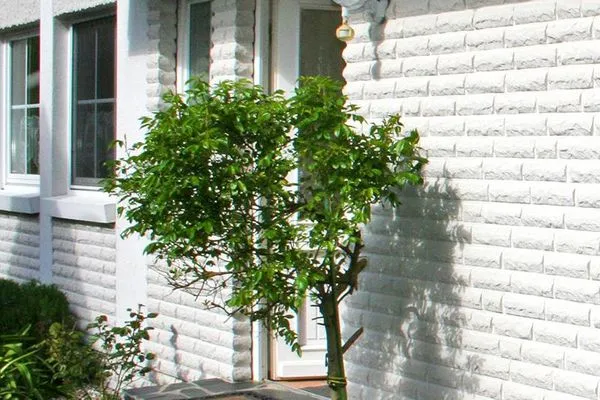 Eingang zur Wohnung  Haus Weststrand W1