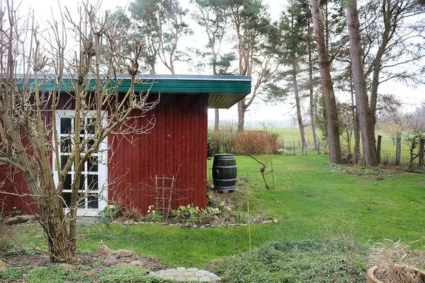 Blick aufs Grundstück von der Terrasse Richtung Süden  Krabbenort