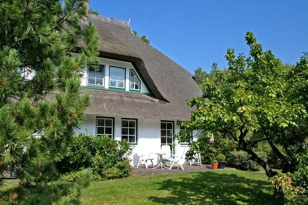 sonnige Terrasse (möbliert) auf der Südseite des Hauses  Darßer Wald