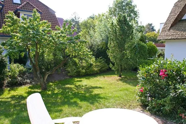 Blick von der Terrasse in den Garten  Darßer Wald