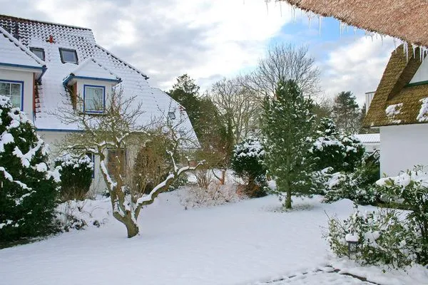 Auch im Winter der ideale Ort um Auszuspannen und die Seele baumeln zu lassen!  Darßer Wald