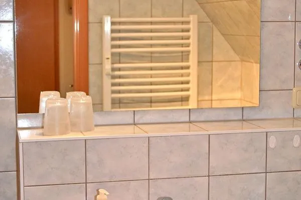 Tageslicht-Bad mit Dusche, WC und Waschmaschine  Haus auf dem Reff W8