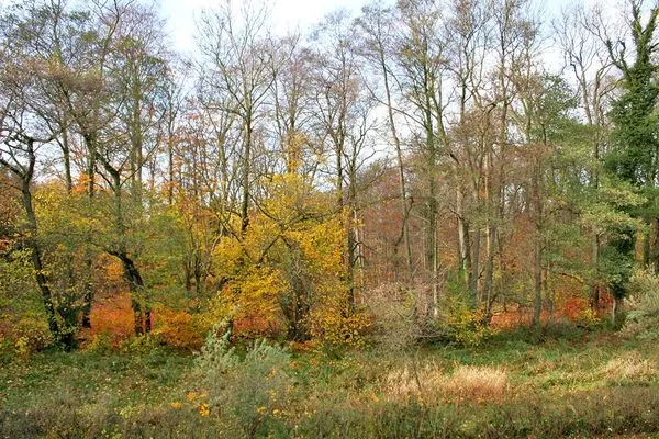 Ausblick im Herbst Zum Leuchtturm Wohnung 9