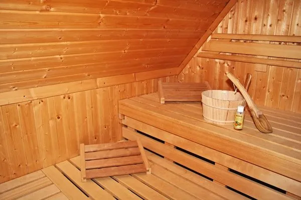 Sauna ohne Aufpreis nutzbar (Saunatücher bitte mitbringen)  Achternhus Kalle