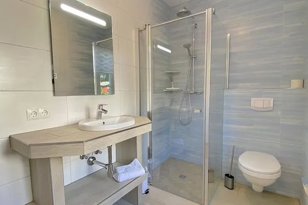 Bad mit Dusche und WC im Erdgeschoß  Steuerbord