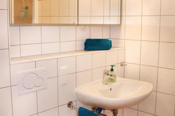 Badezimmer mit Dusche, Waschbecken, WC und Waschmaschine  Deichrose W9
