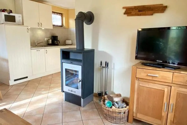 Kamin-Ofen für gemütliche Stunden  Lewerenz