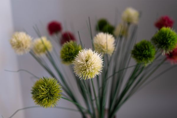  Dachluke Norderney - Dekoratives Detail