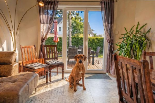  Schwedengang 13a Villa Salut Zingst - 