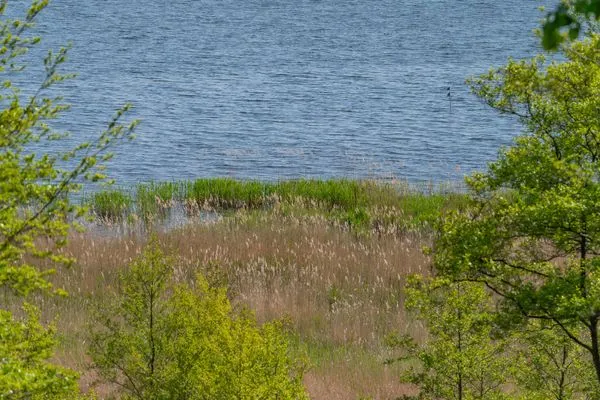 Landschaft  Ferienwohnung Ankerplatz