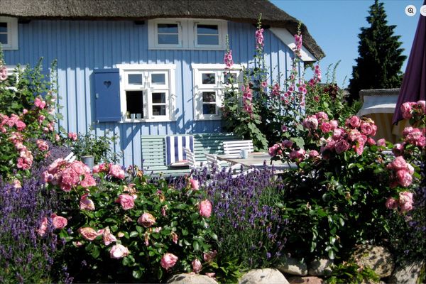  Alte Boddenkate Born auf dem Darß - 