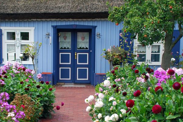  Alte Boddenkate Born auf dem Darß - 