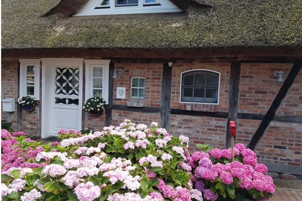  Das Fachwerkhaus Born auf dem Darß - 