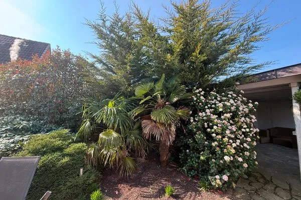  Villa del Sol Villa del Sol