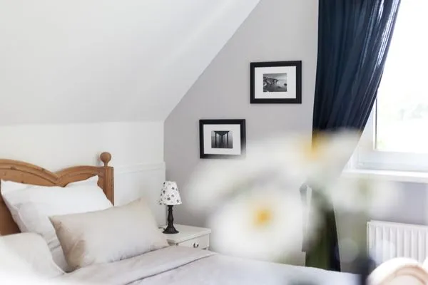 Dekoratives Detail  Möhlenblick