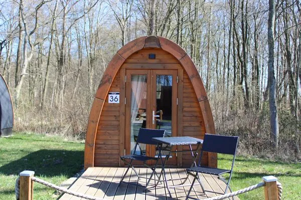   36 Mini Pod "Sorge"