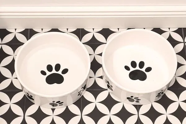 Dekoratives Detail  Lieblingssuite am Strand