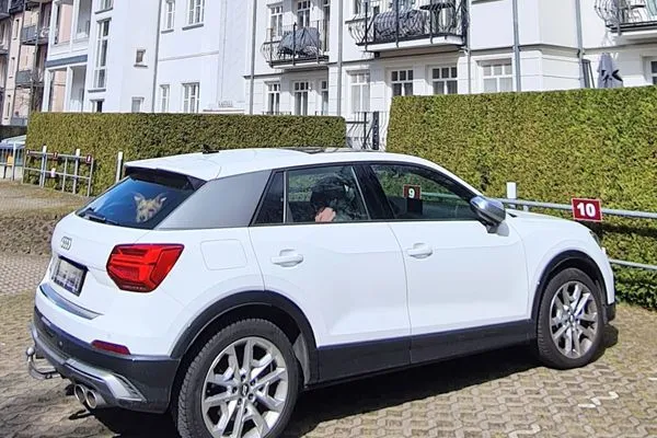 Dekoratives Detail  Lieblingssuite am Strand