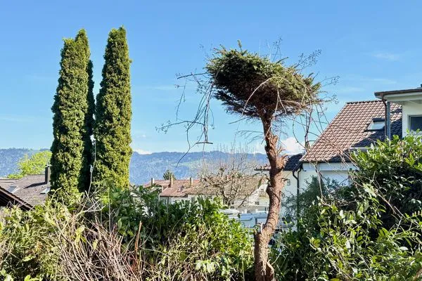  Ferienwohnung Aussichtsreich Lindau und Umgebung - 