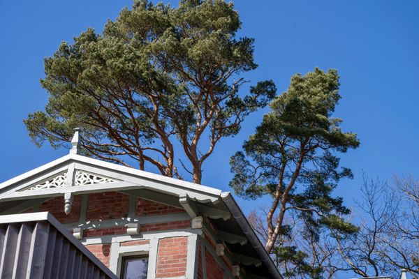  Villa Ruhleben Prerow - Hauptansicht