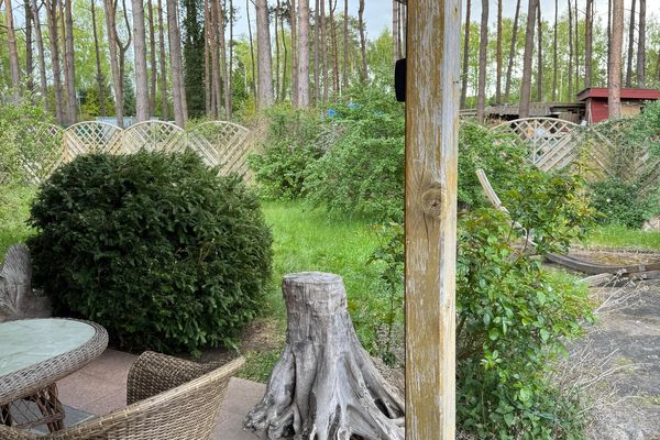  Haus Kiefernblick Zinnowitz Zinnowitz - 