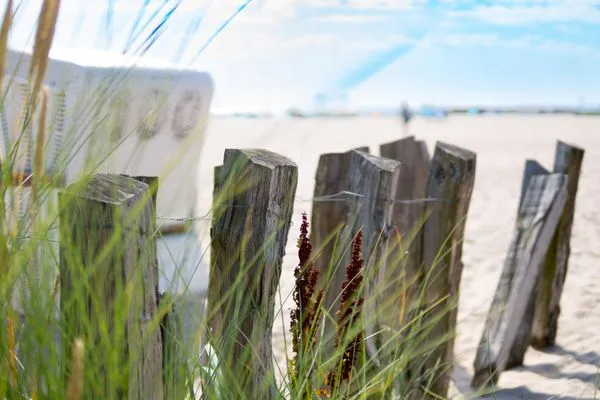 Strand  Ferienhaus Fritzis Traum vom Meer