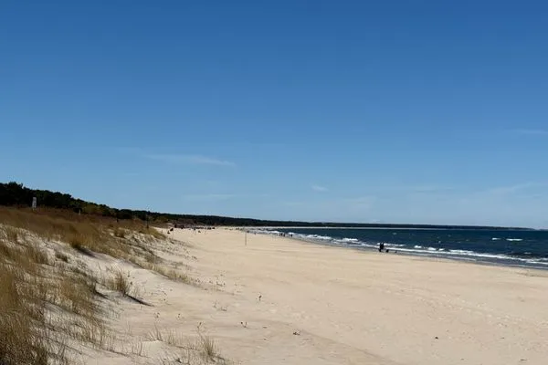   Waldidylle & Meerblick – Finnhütte im Kiefernwald nur 150 m zum Strand - Antonin