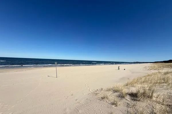   Waldidylle & Meerblick – Finnhütte im Kiefernwald nur 150 m zum Strand - Antonin