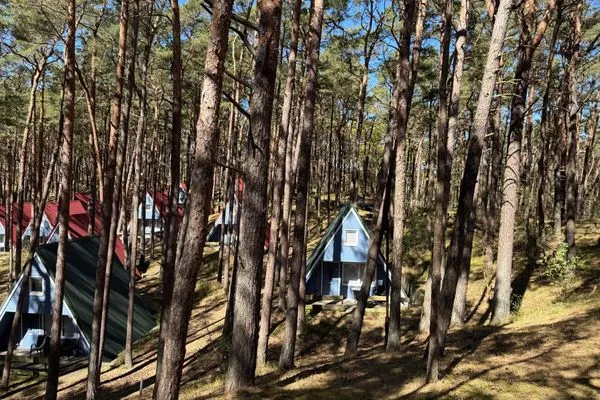   Waldidylle & Meerblick – Finnhütte im Kiefernwald nur 150 m zum Strand - Antonin