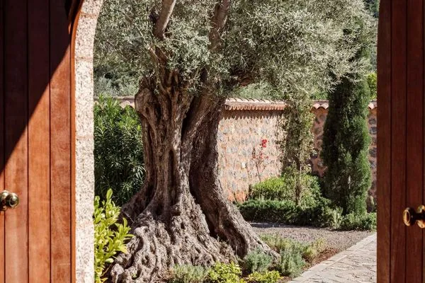   Sa Terra Rotja