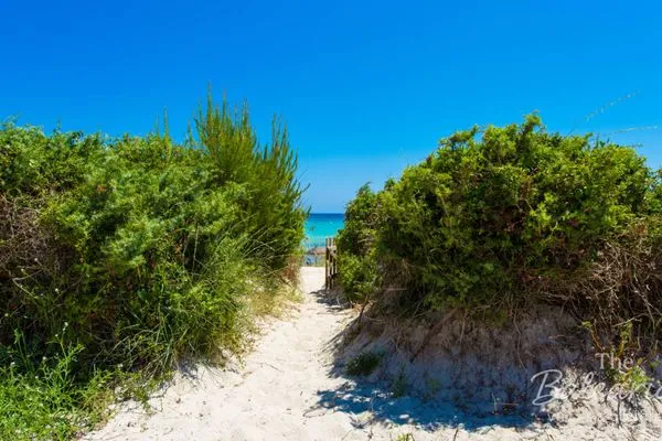   Villa Sa Playa de Muro